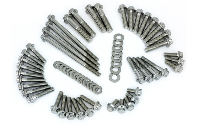 Primary and Transmission Stainless 12 point kit M8 17-24 Bagger