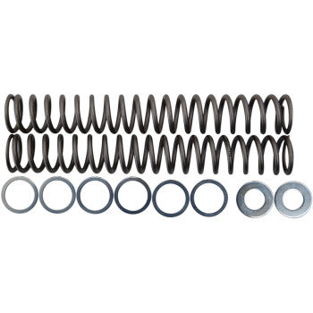 Fork Springs - 1.10 kg/mm 49MM Forks